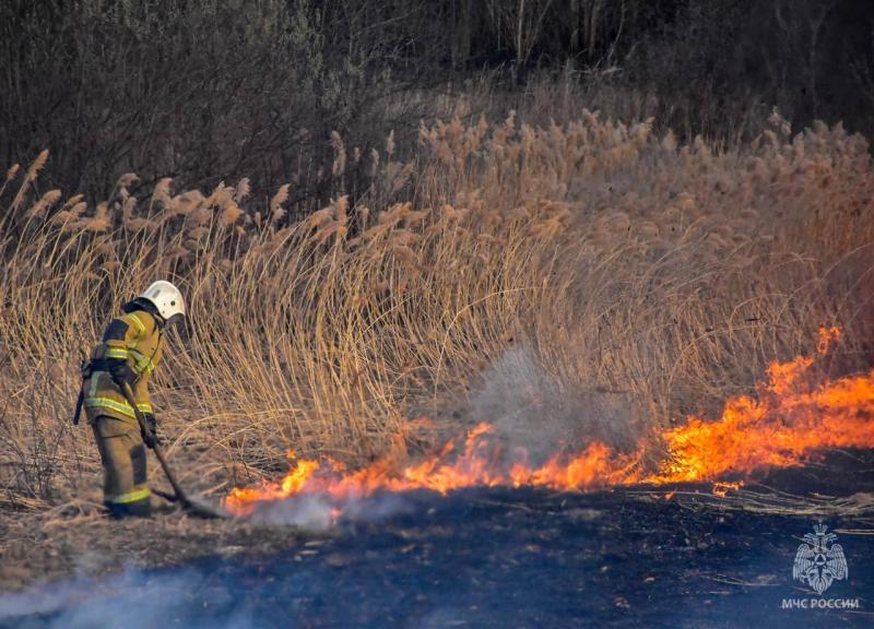 В этом месяце пожарные Мордовии уже 200 раз тушили сухую траву