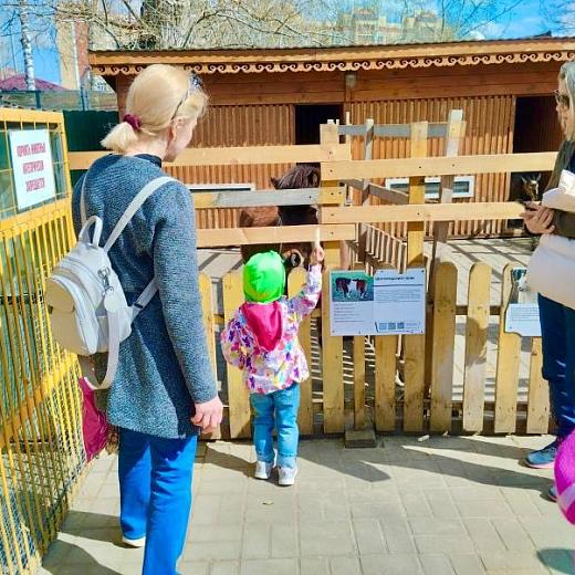 Зоопарк Саранска приглашает на показательное кормление медведя
