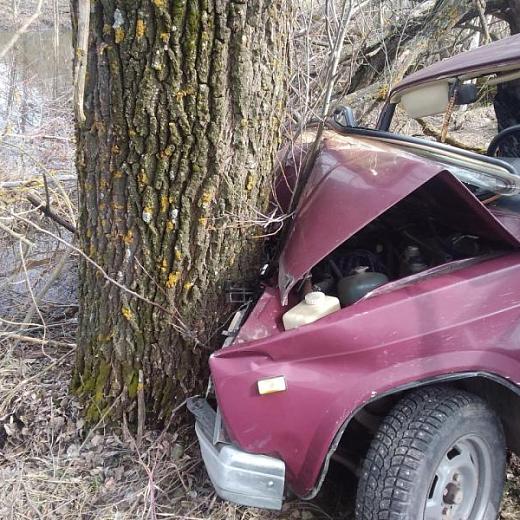Водитель «семерки» в Мордовии влетел в дерево и погиб