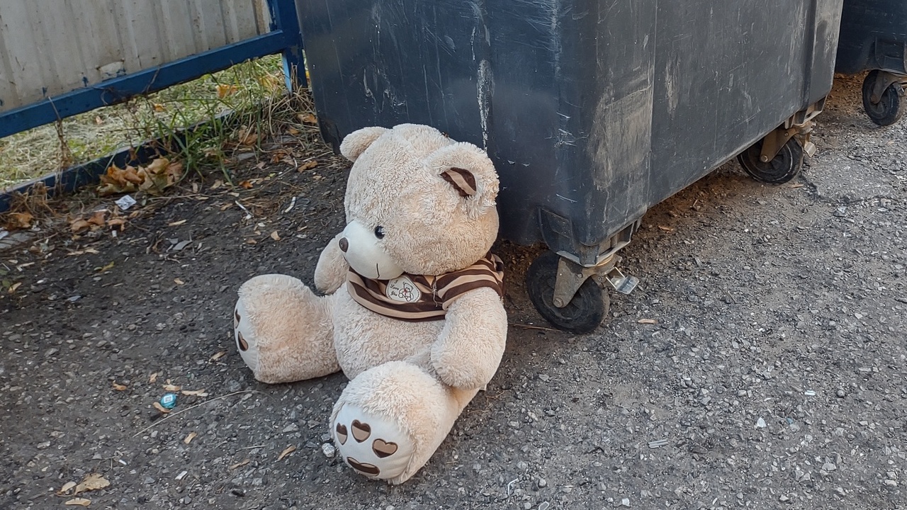 В Мордовии ликвидировали ещё две свалки 