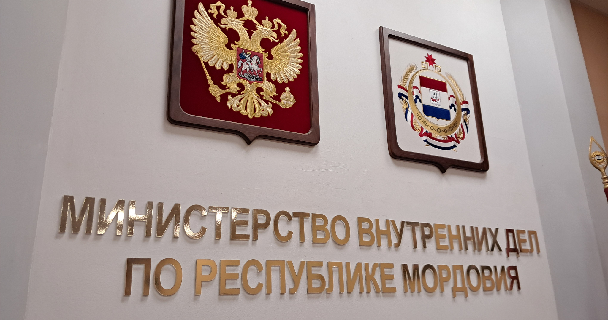 В центре Саранска обокрали службу доставки 