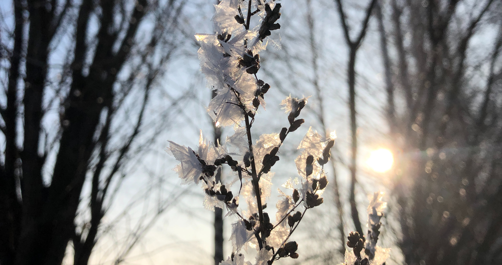 Вспышка высшего балла X произошла на Солнце 