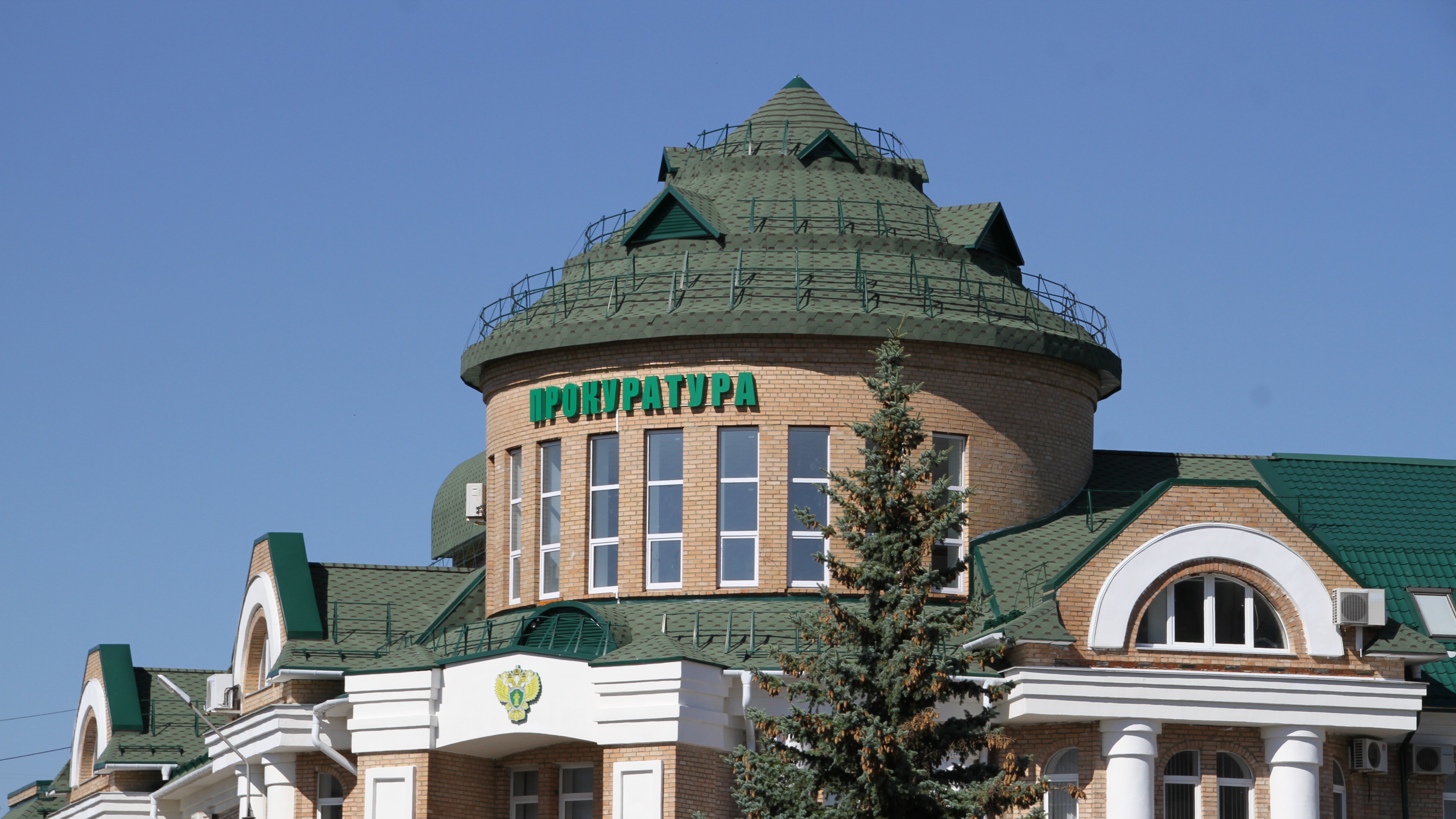 Жительница Рузаевки пыталась отбить у полицейских бывшего супруга