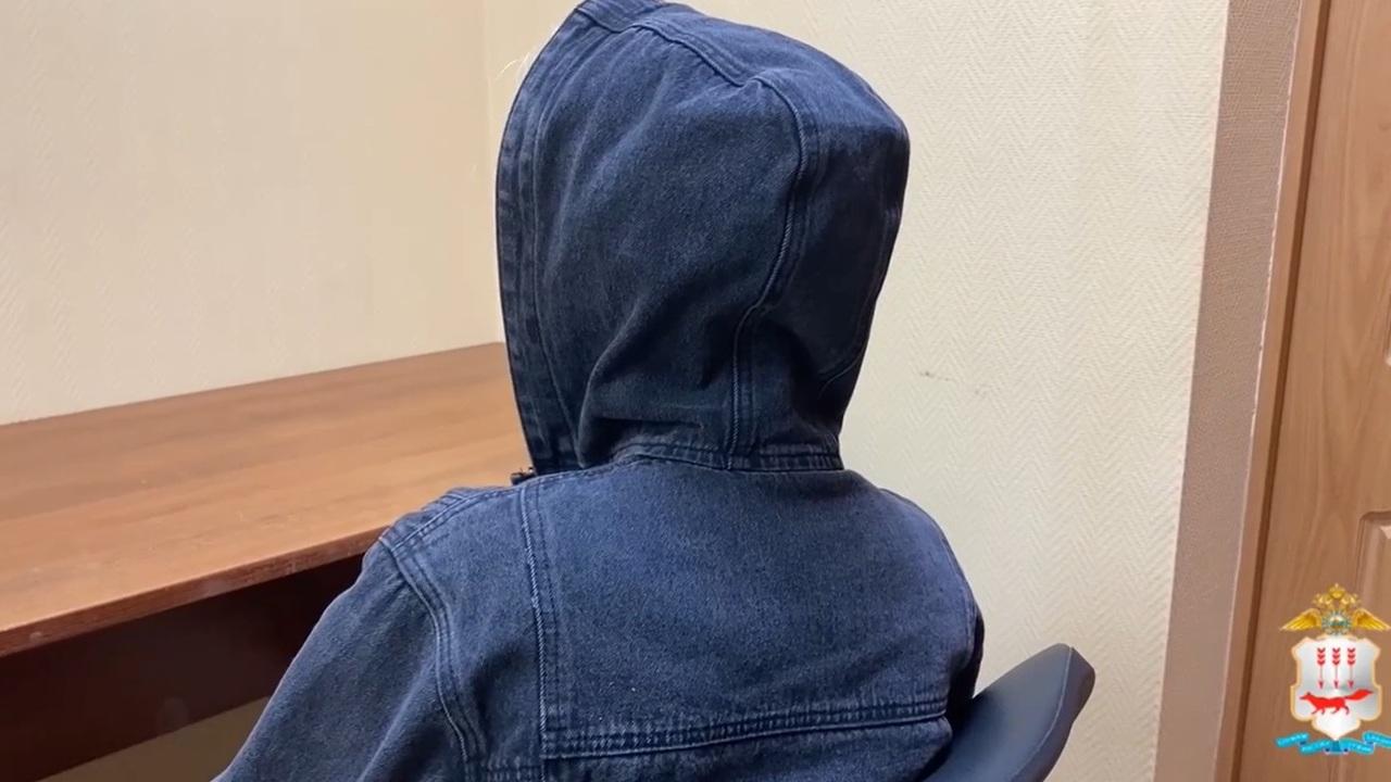 В Мордовии тюменская закладчица «заработала» 7 лет колонии 