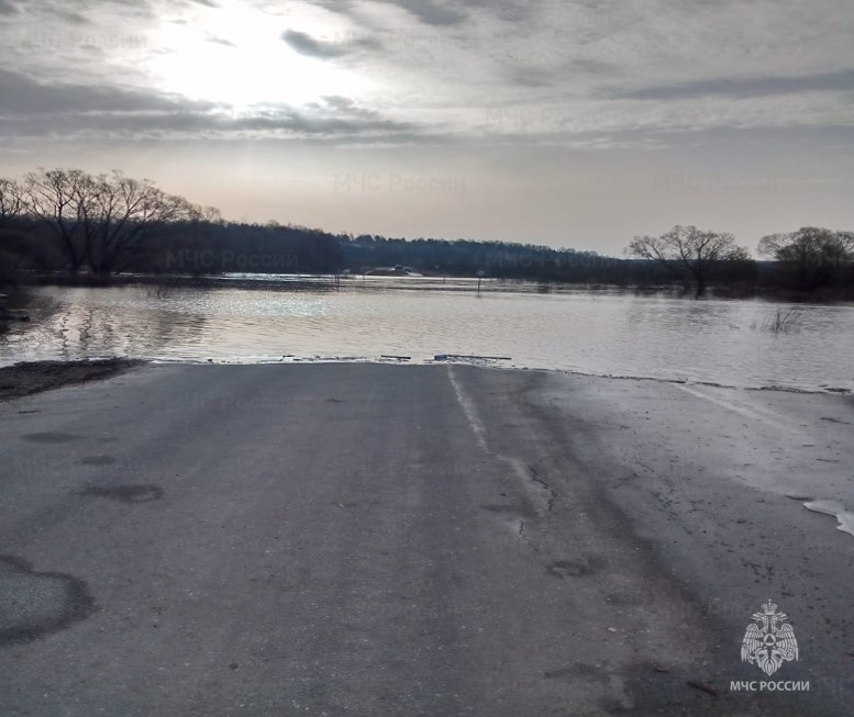6 мостов и 6 дорог затоплены в Мордовии 