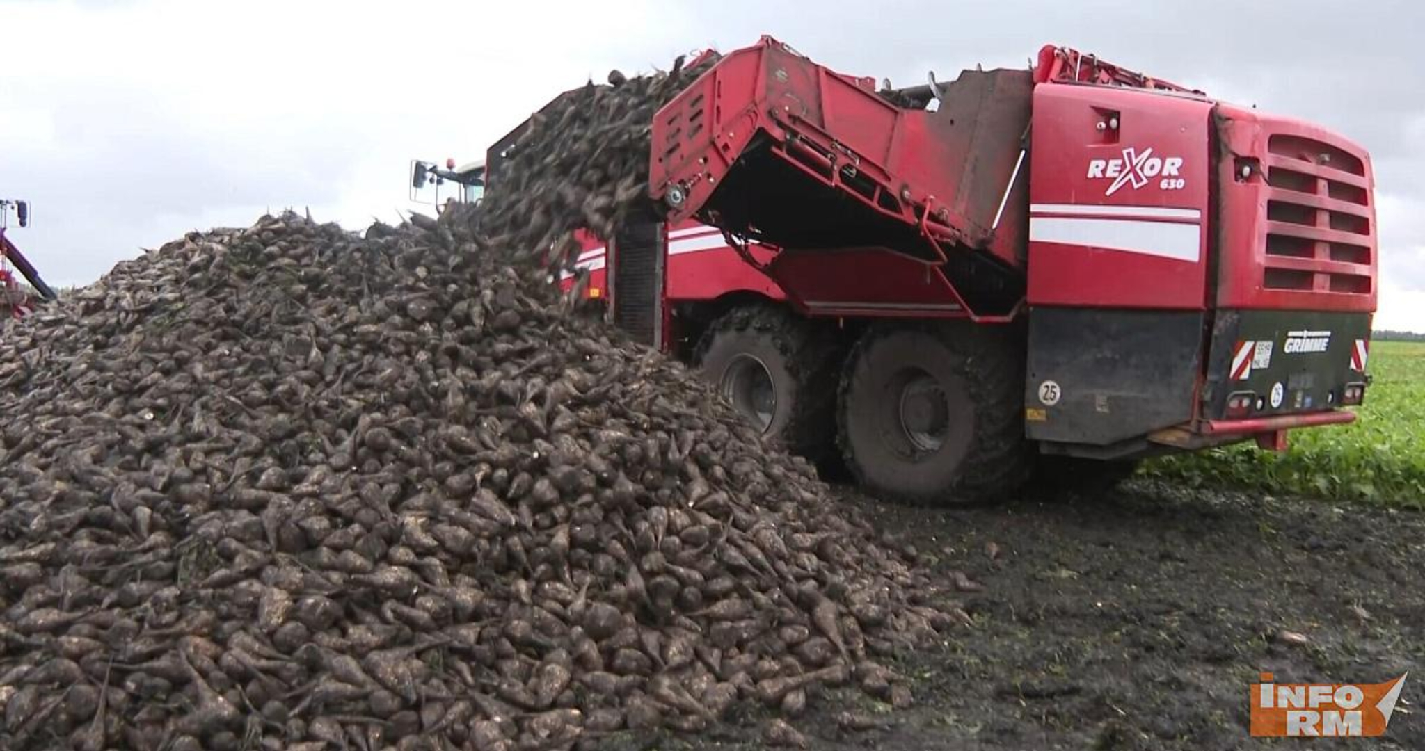 Мордовия продала за границу больше 9 тысяч тонн жома и масла 