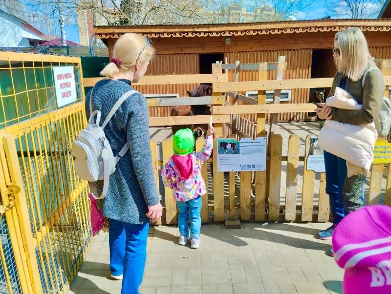 Зоопарк Саранска приглашает на показательное кормление медведя