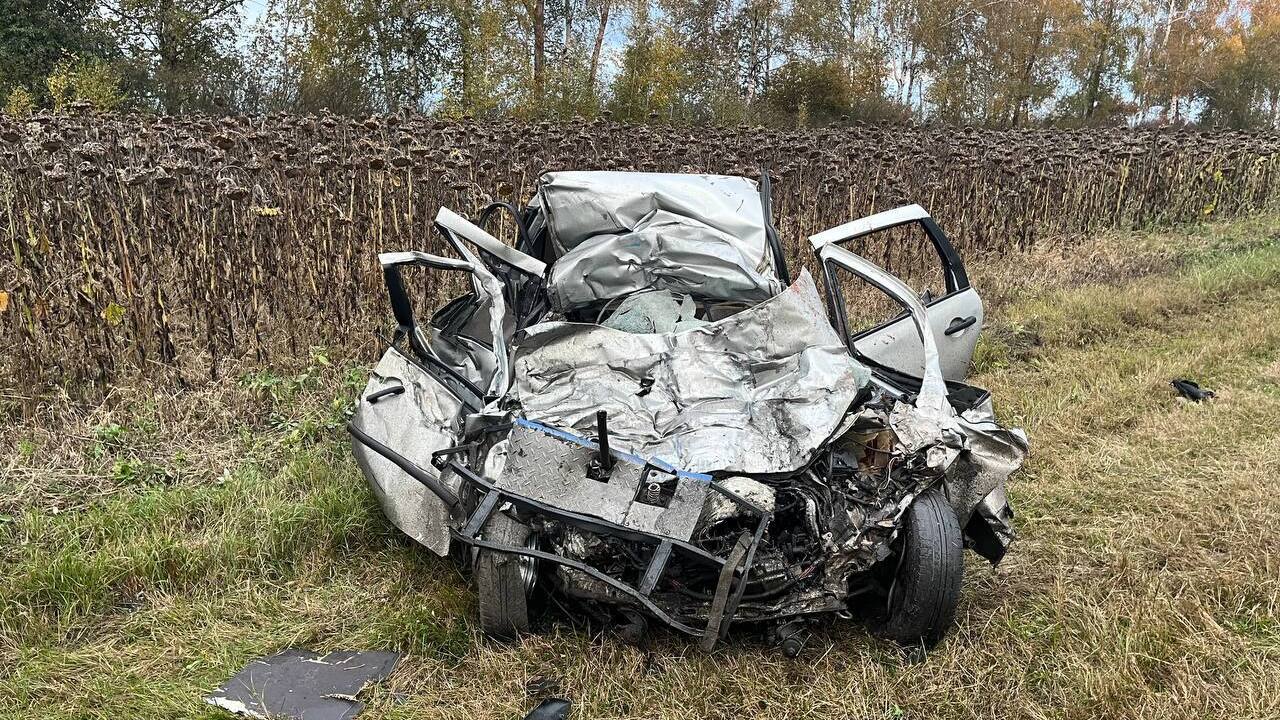 В ДТП с автобусом на трассе М5 «Урал» погибли три человека В ДТП с автобусом на трассе М5 «Урал» погибли три человека