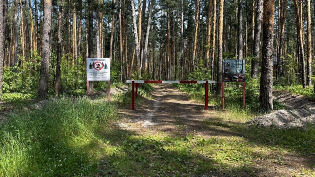 В Мордовии снова ввели запрет на посещение лесов
