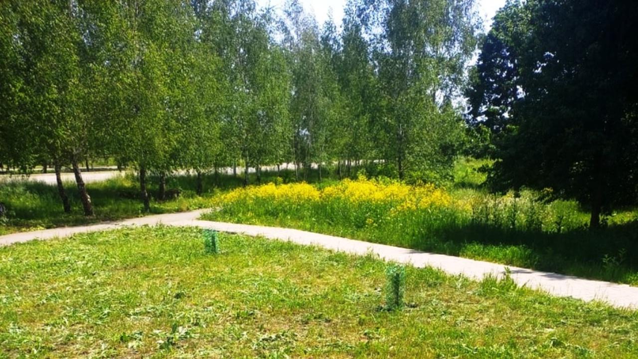 В Рузаевке прошел субботник на Аллее Славы В Рузаевке прошел субботник на Аллее Славы