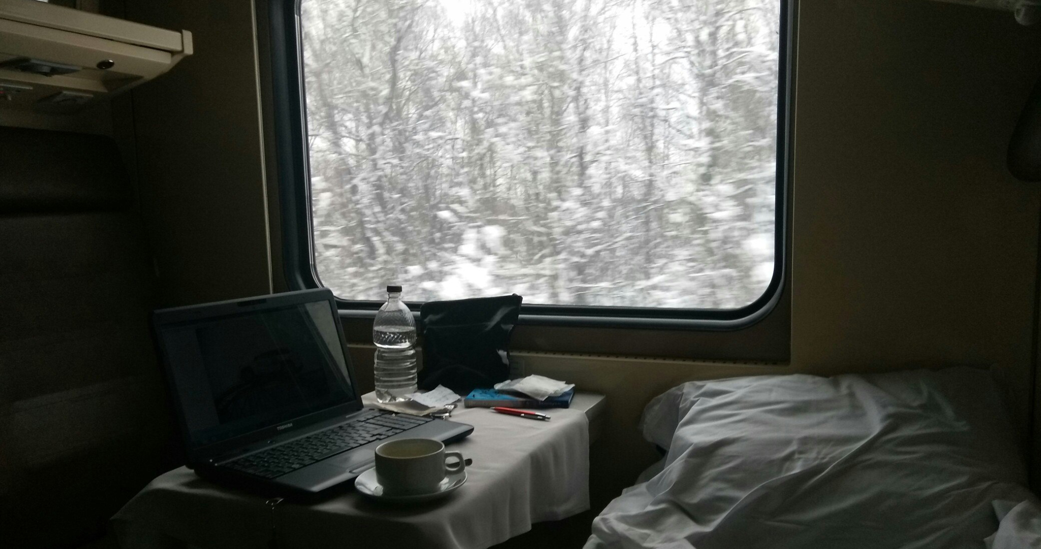 В Мордовии у двух пассажиров поезда «Москва — Оренбург» нашли запретное 