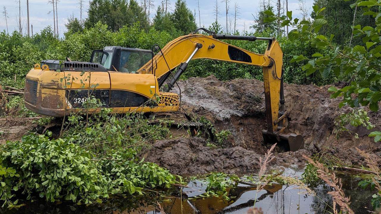 Мордовский заповедник получил защиту от пожаров в 4 тысячи тонн воды 