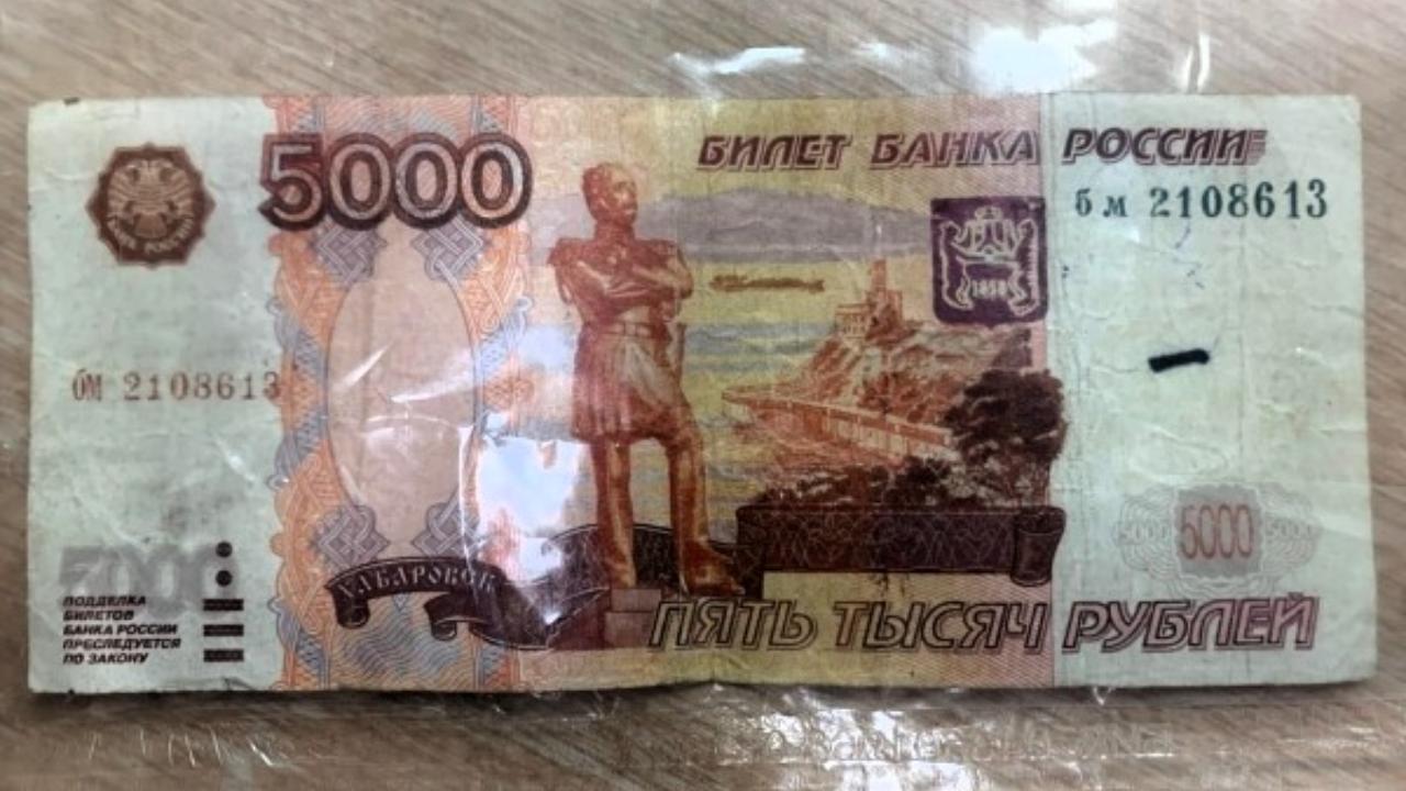 Криминальный дуэт из Саранска осуждён за фальшивки и кражи 