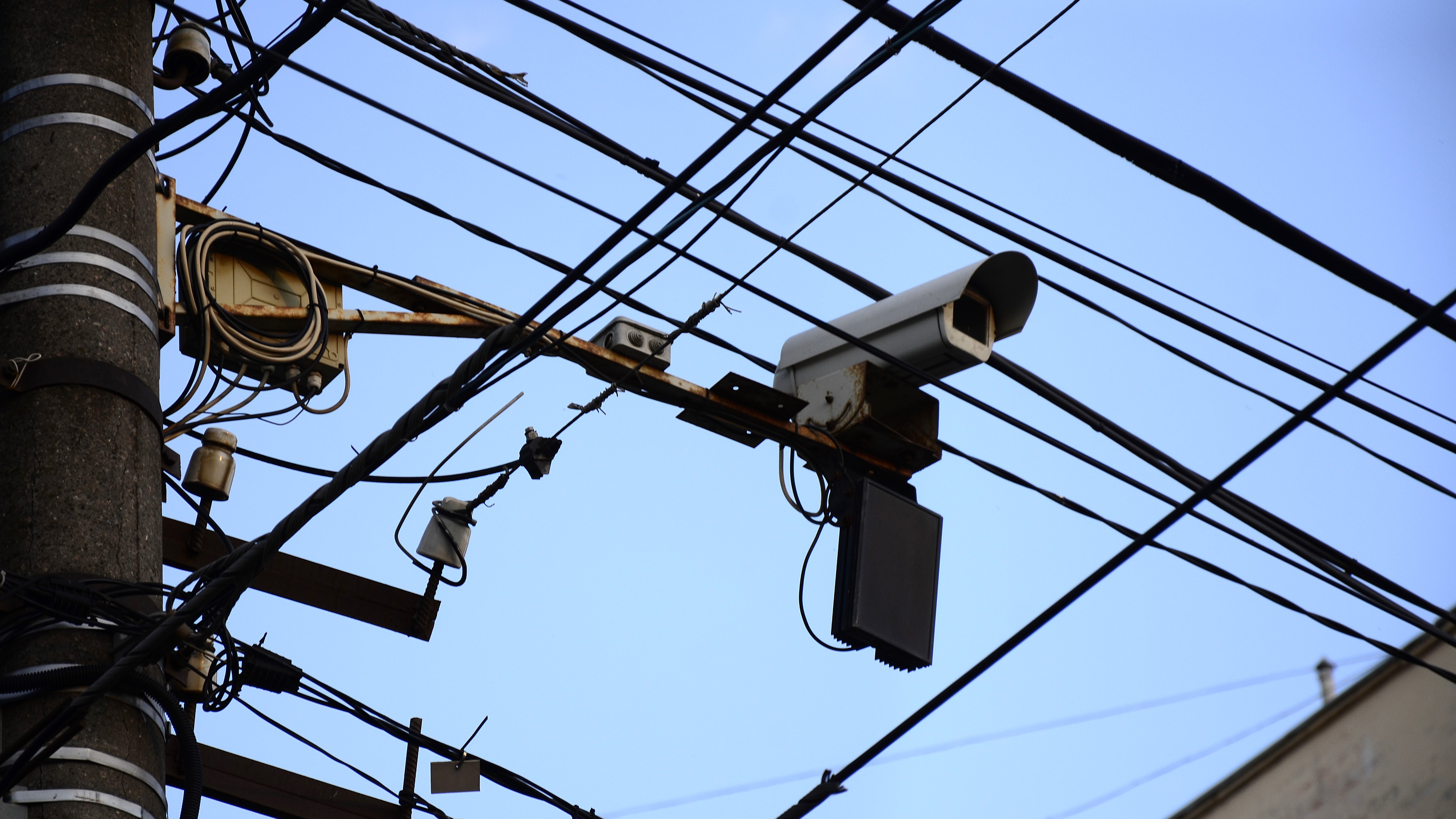 В Мордовии «Паутина» помогла поймать агрессивного драчуна