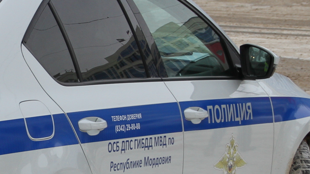 В Мордовии спецбатальон ДПС устроил в Зубово-Полянском районе ещё один рейд 