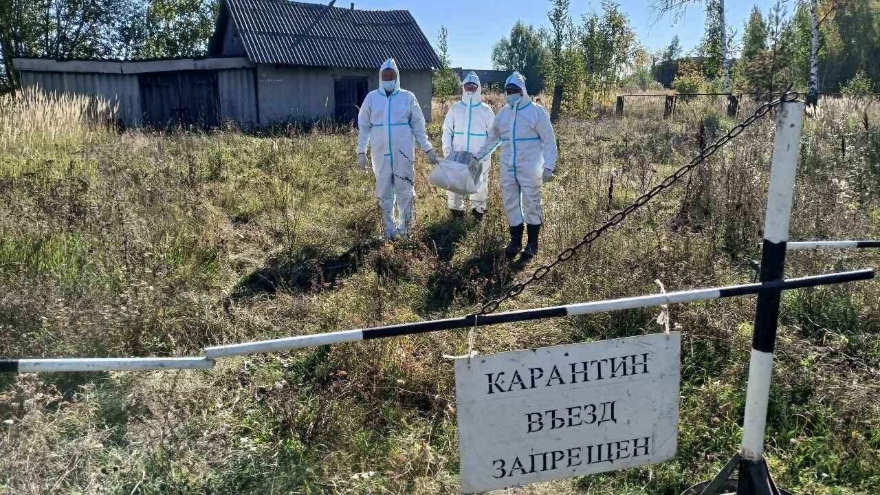 С очень опасной инфекцией боролись ветеринары в Мордовии С очень опасной инфекцией боролись ветеринары в Мордовии