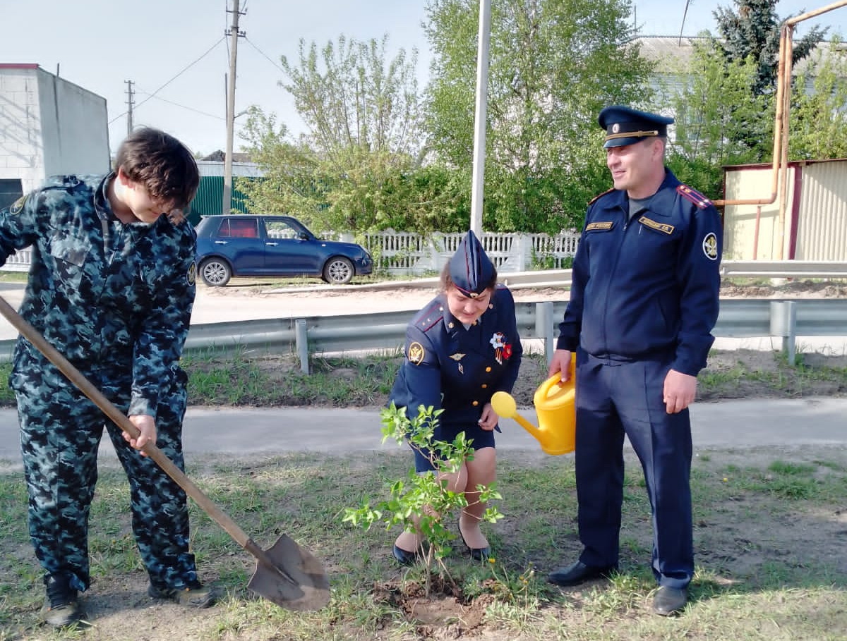 Сотрудники УФСИН Мордовии приняли участие в акции «Сад памяти»