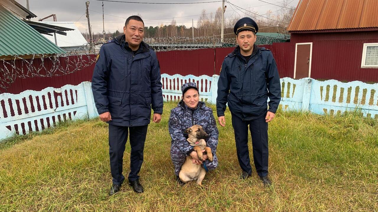 Выращенные в Мордовии щенки отправились служить в Калмыкию 