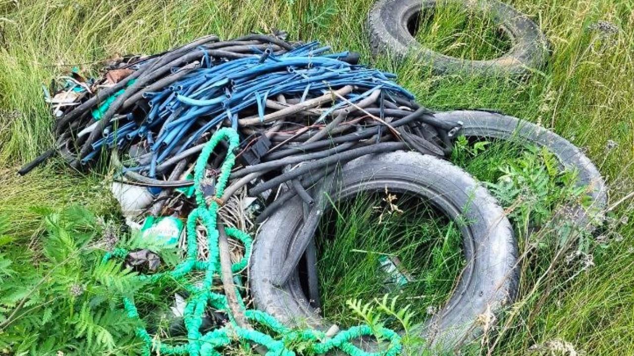 Экологи Атяшевского района обнаружили свалку в районе посёлка Птицесовхоз «Сараст»