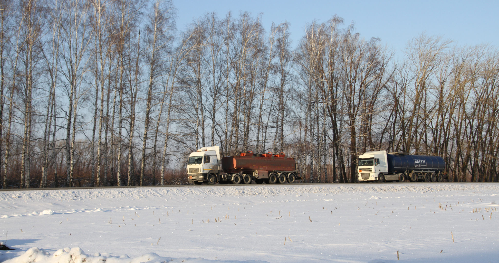 Платные дороги в России могут стать дороже 