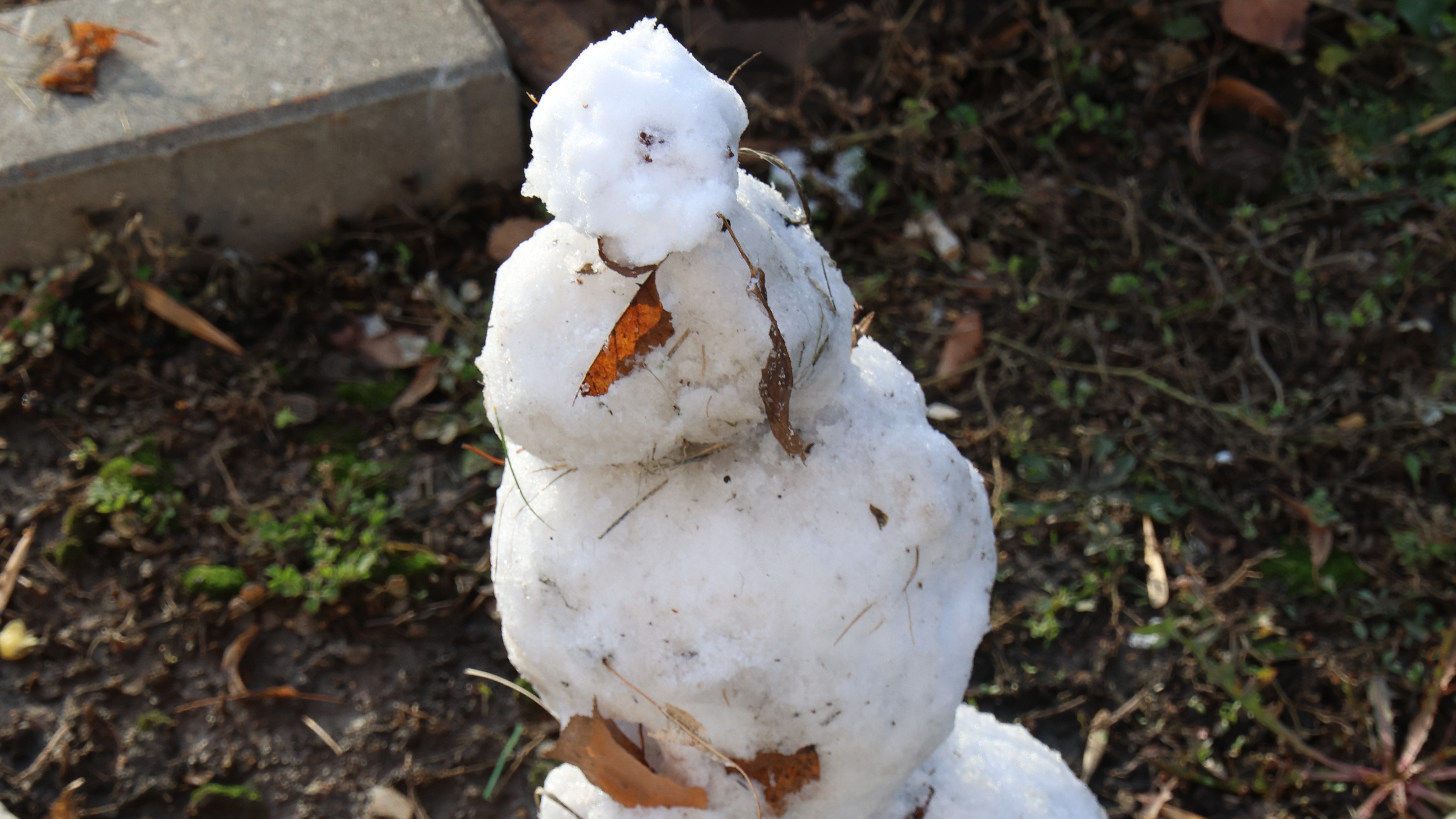 Жителям Мордовии снега и зимы ждать не стоит