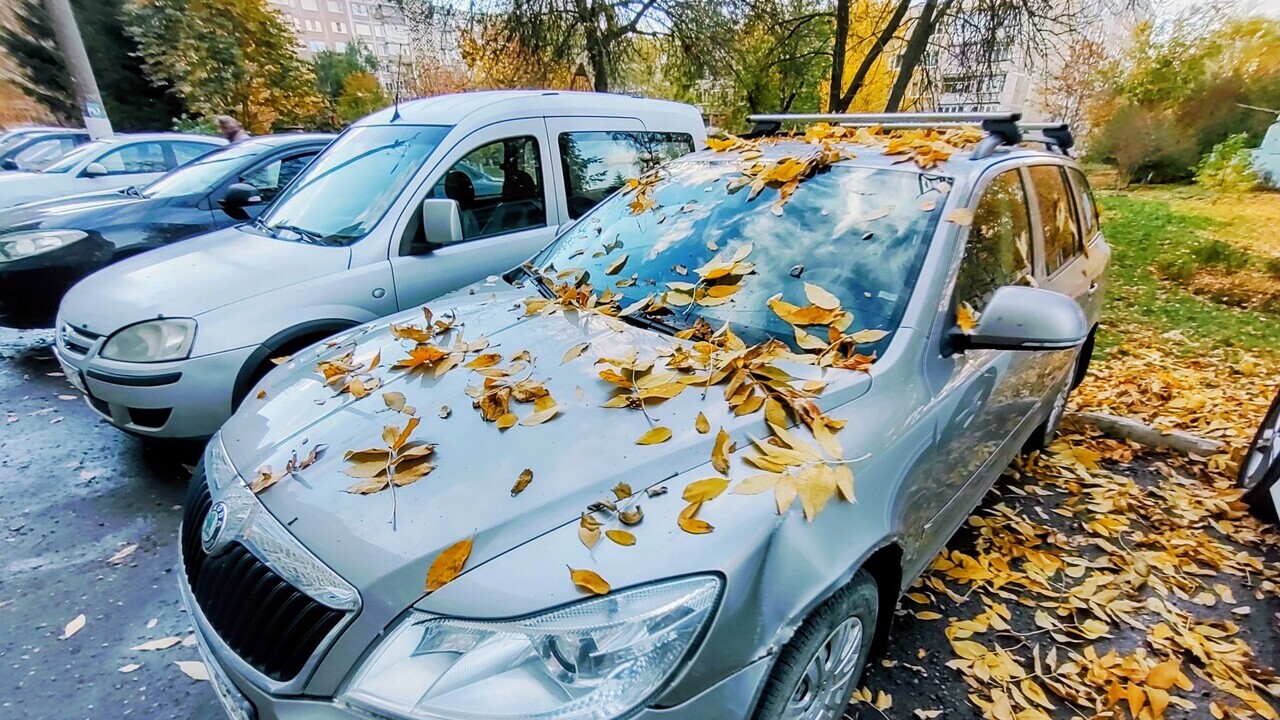 Машину у жителя Саранска угнал пьяный сосед по больничной палате 