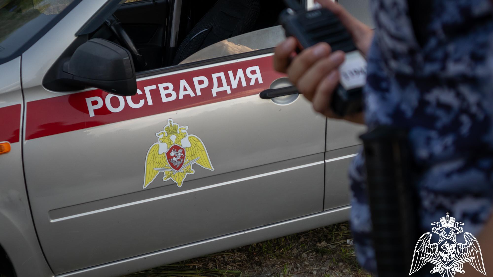 В Мордовии остановили пьяного парня на «семёрке» В Мордовии остановили пьяного парня на «семёрке»