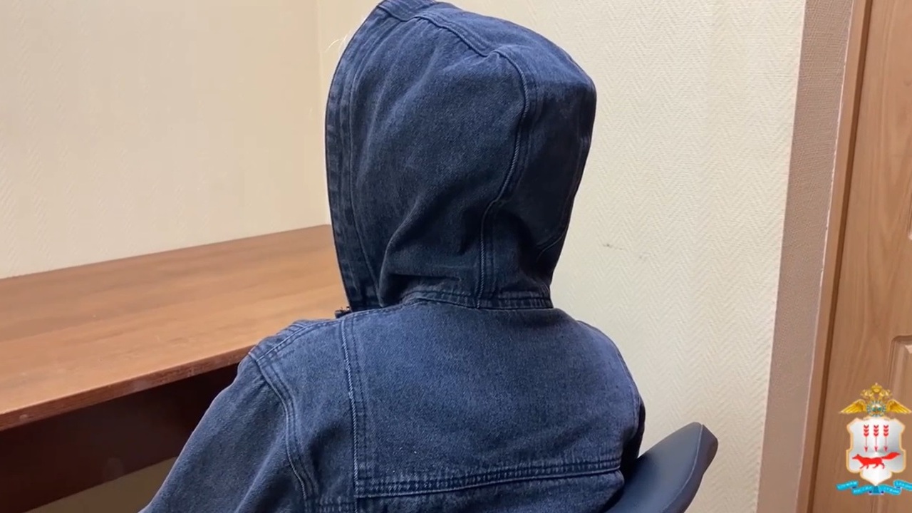 В Мордовии тюменская закладчица «заработала» 7 лет колонии 