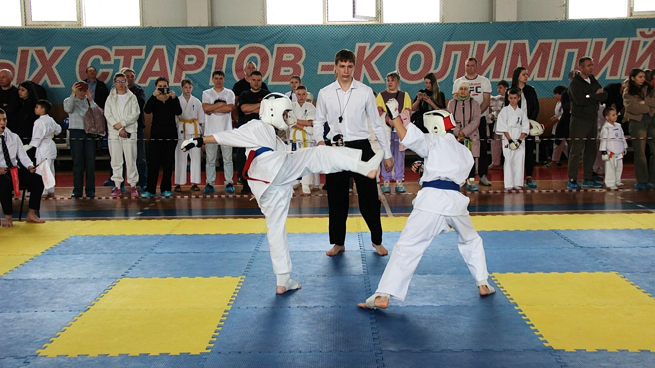 Каратисты Мордовии завоевали педали первенства ПФО