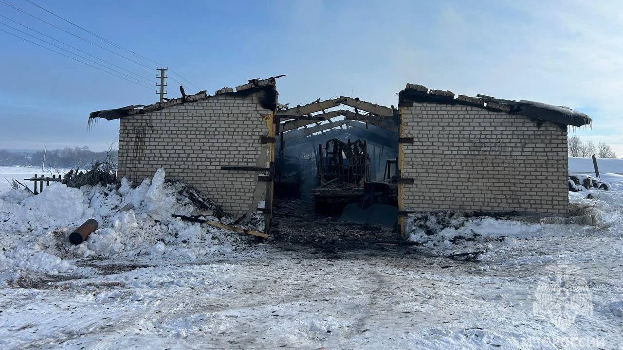 В Мордовии огонь повредил более 10 единиц автотранспорта