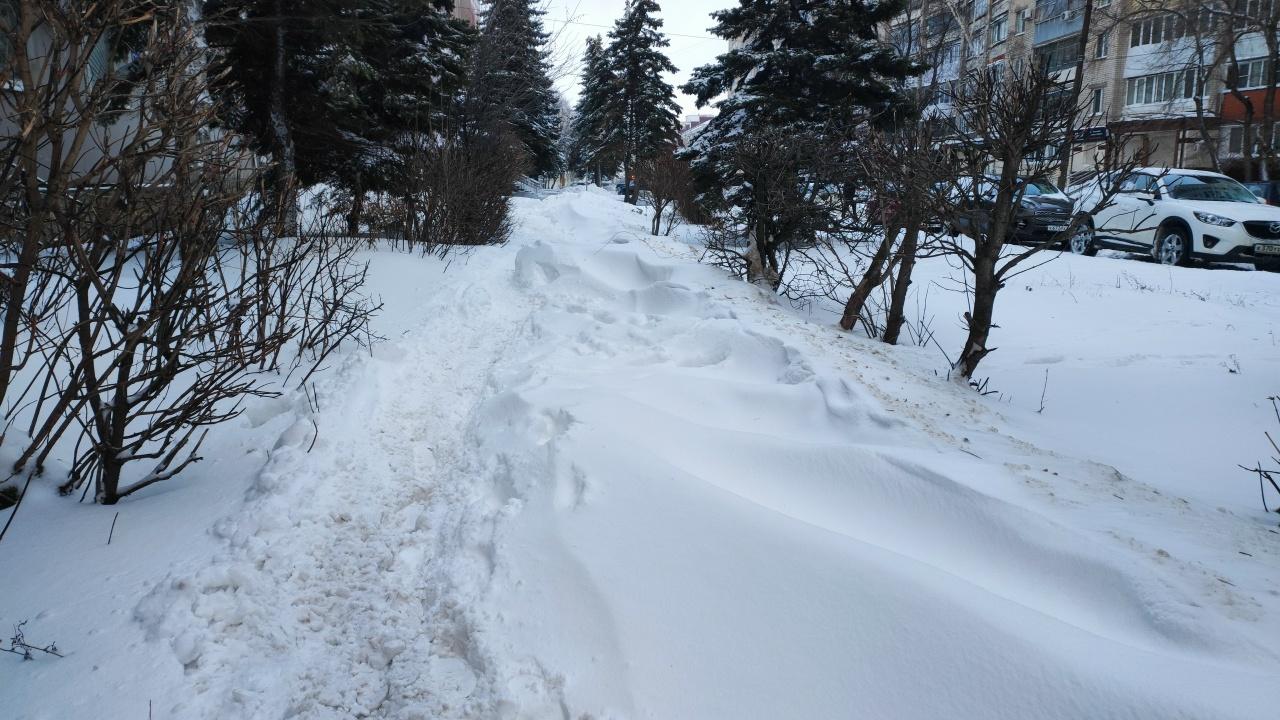 Рождественская ночь в Мордовии будет снежной