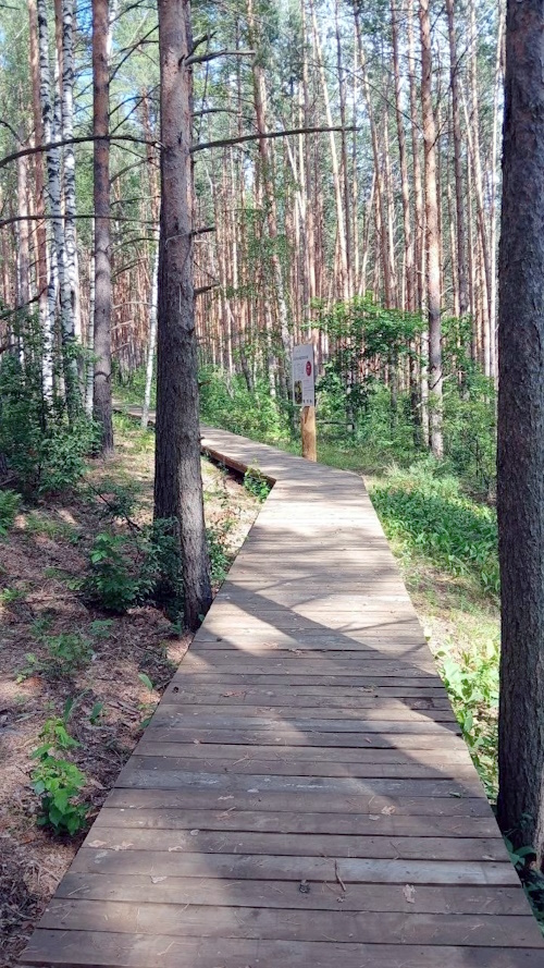 В нацпарке «Смольный» открылась новая экологическая тропа В нацпарке «Смольный» открылась новая экологическая тропа