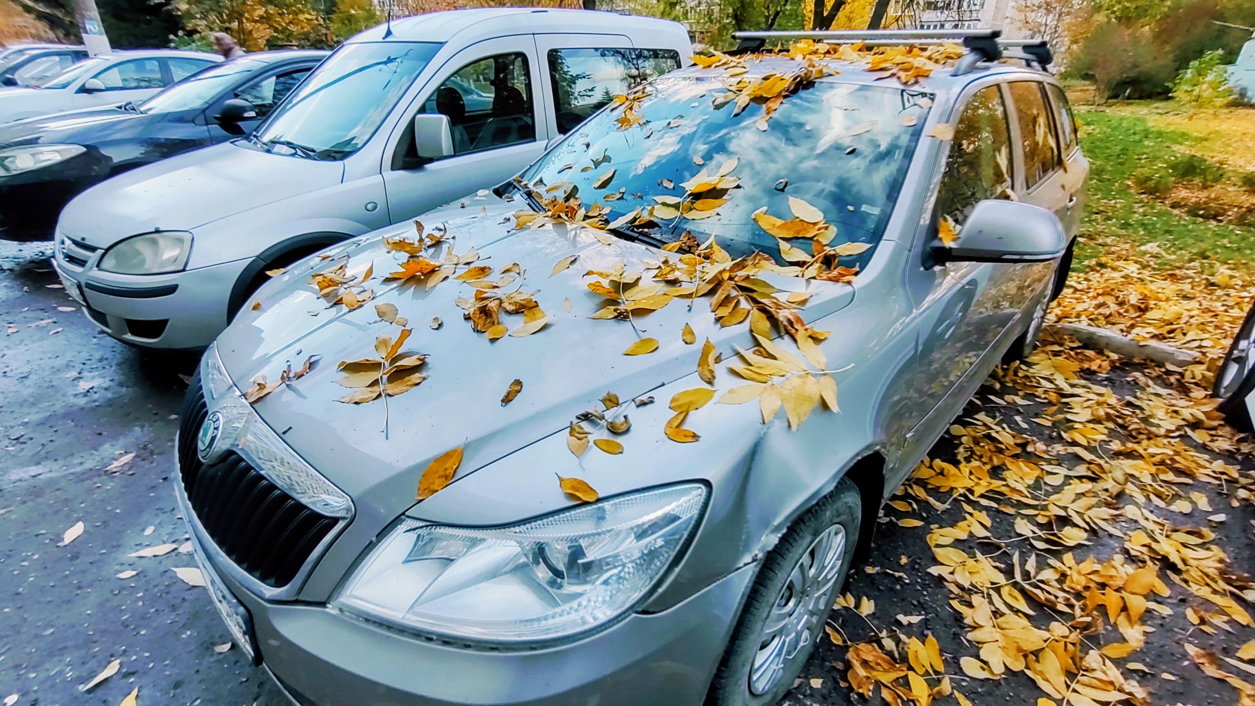 Жителям Мордовии стало проще получить выплаты по ОСАГО