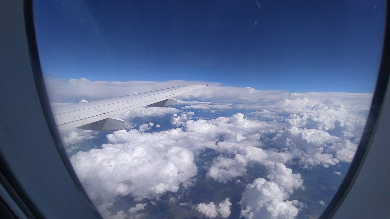 Россиянка привезла с собой из отпуска лихорадку Денге 