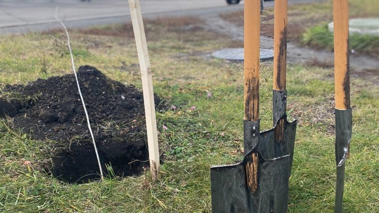 В Саранске появилась новая аллея  В Саранске появилась новая аллея