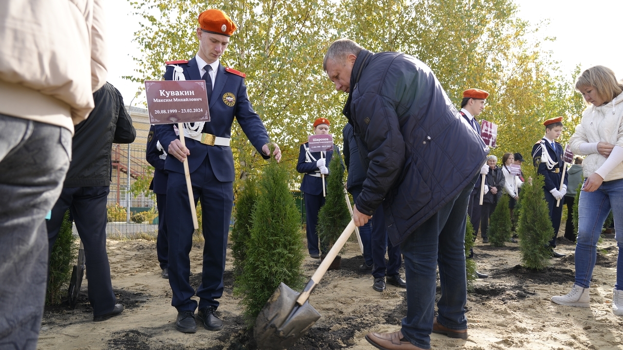 В Мордовии появилась аллея в память об участниках СВО 
