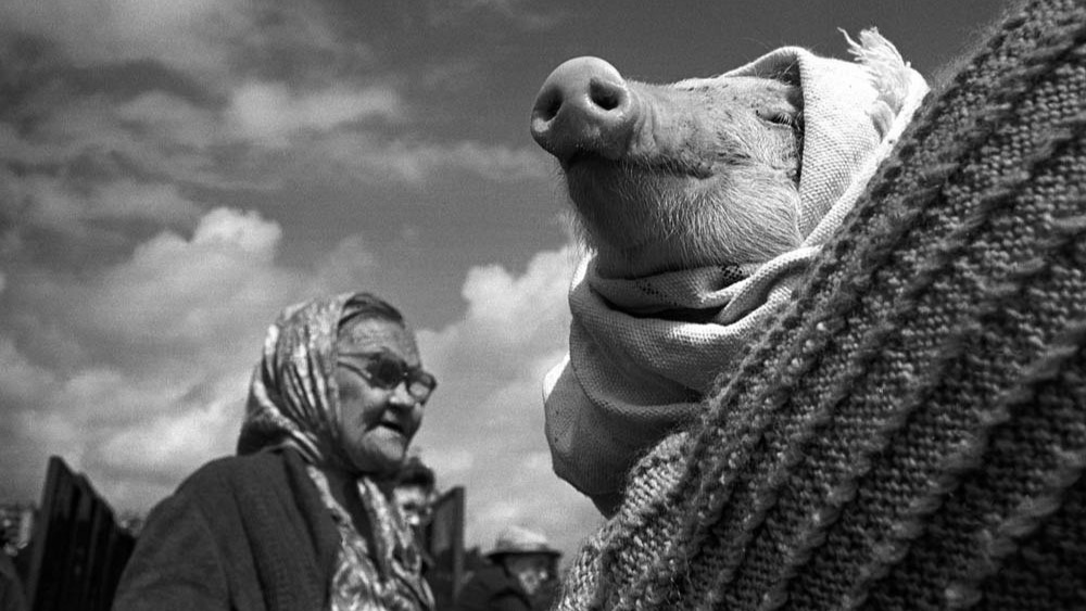 Жителям Мордовии покажут «Время и место»