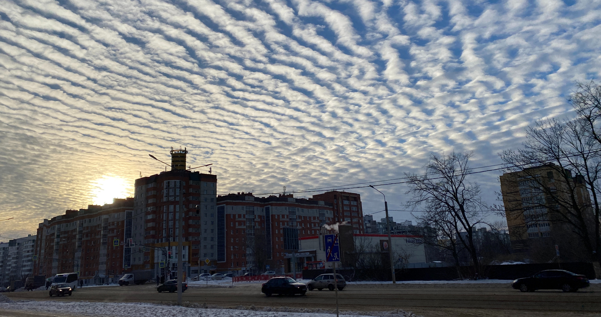 Зимнее солнцестояние - 2025: россиян ждёт самая длинная ночь года 