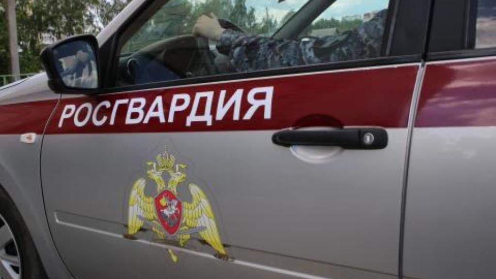 В Саранске задержали молодого драчуна В Саранске задержали молодого драчуна