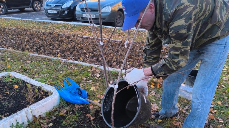 В Саранске посадили черешни, вишни и сливы В Саранске посадили черешни, вишни и сливы
