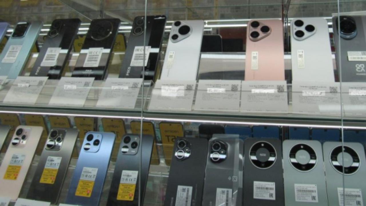 Проезжавший через Мордовию игроман украл два смартфона