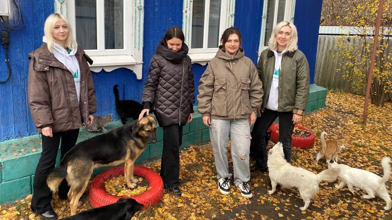 Волонтёры в Мордовии оказали помощь приюту «Лапкин дом» 
