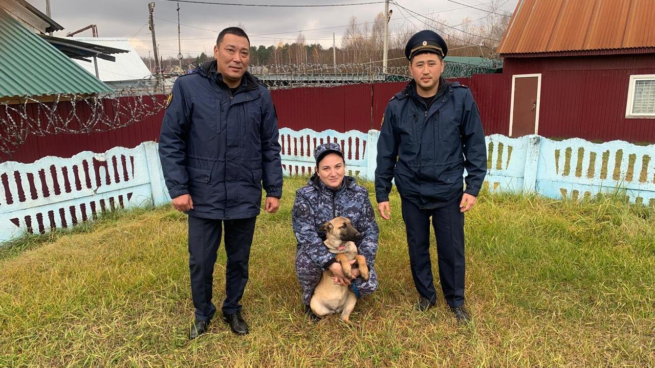 Выращенные в Мордовии щенки отправились служить в Калмыкию 