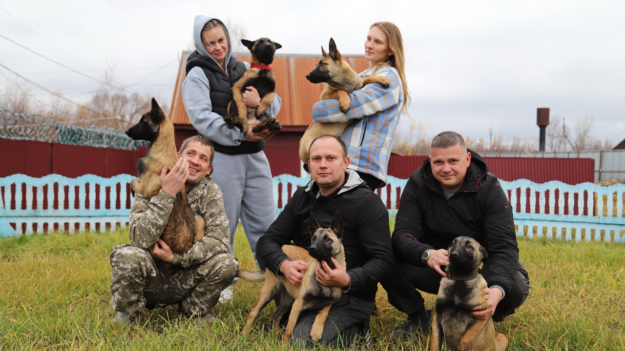 Выращенные в Мордовии щенки отправились служить в три региона России 