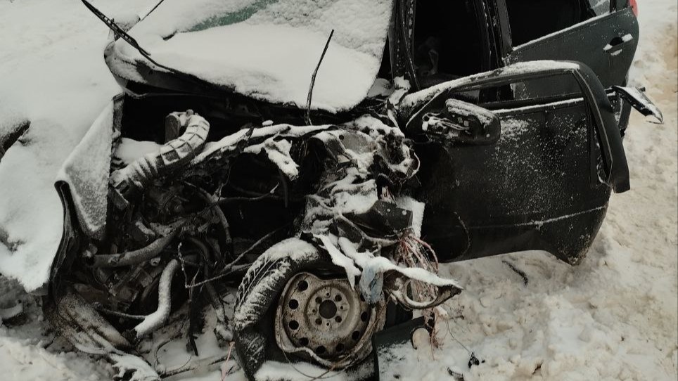 В Мордовии «Калина» вылетела под фуру: трое в больнице