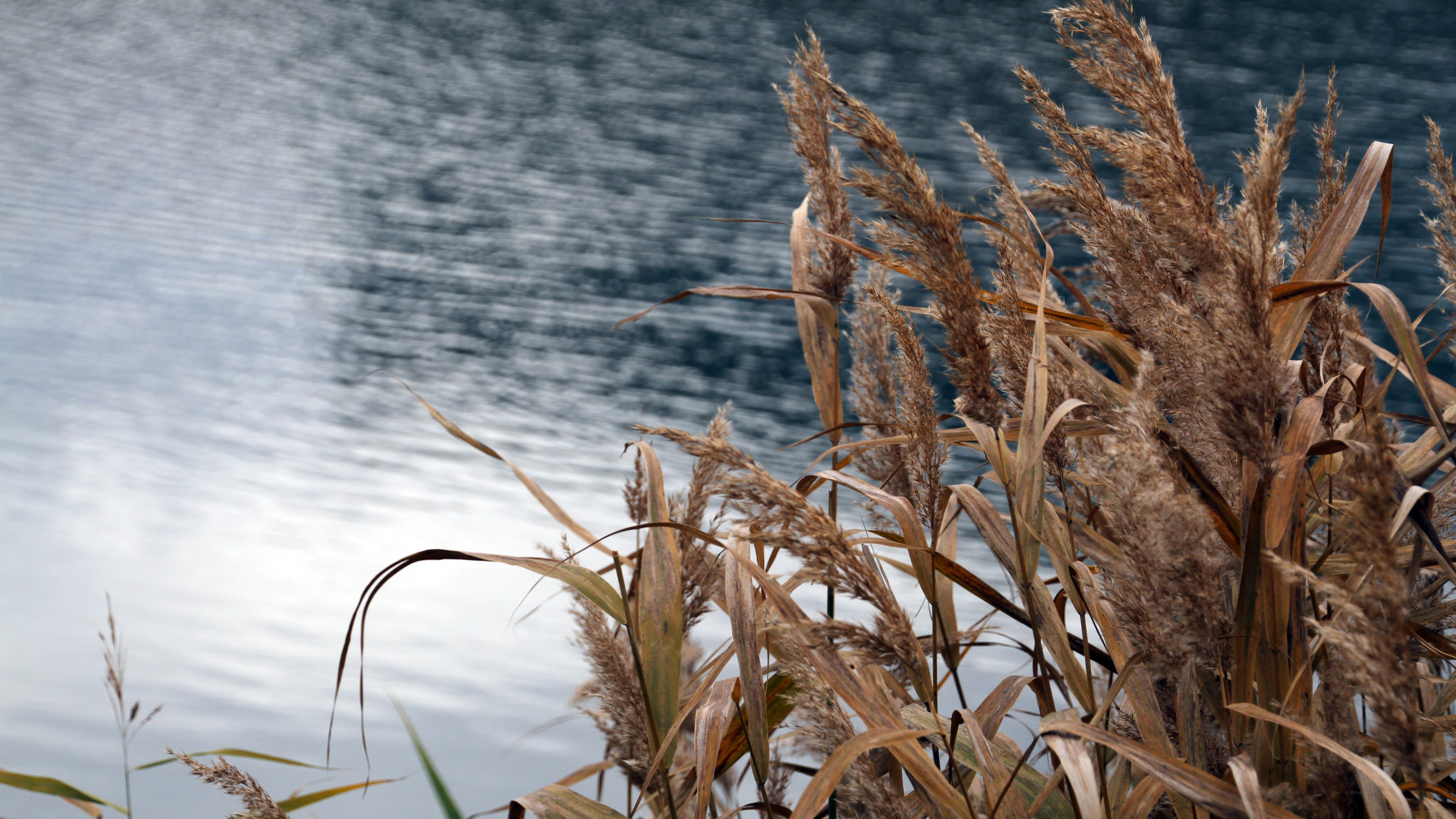 На Мокше и Суре в соседнем с Мордовией регионе завершился судоходный сезон