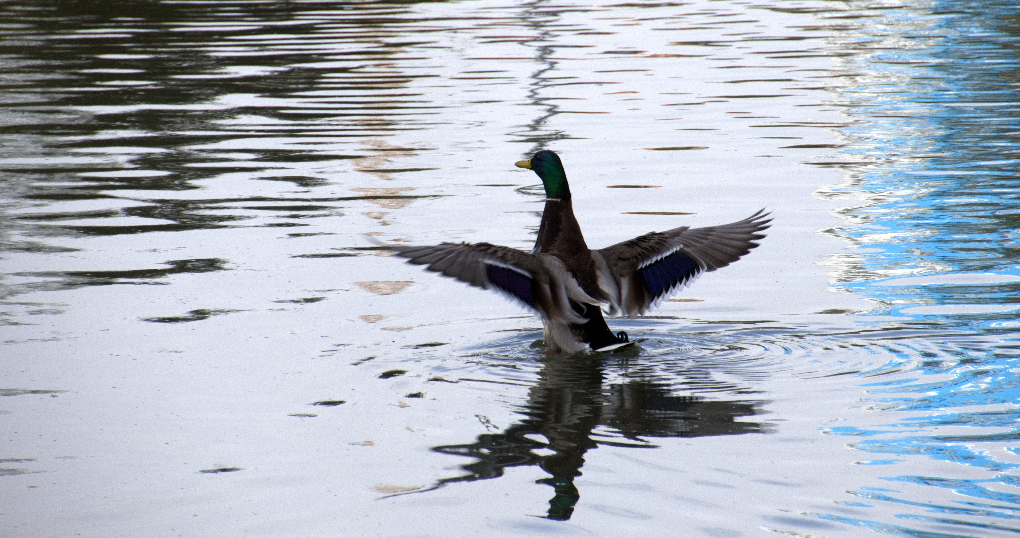 Синоптик рассказал, когда придёт оттепель 