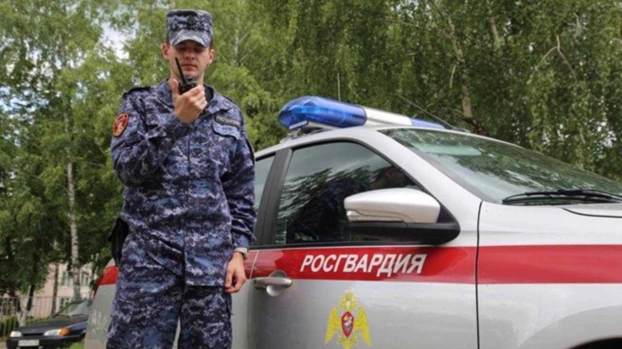 Пьяного водителя задержали в Ардатовском районе