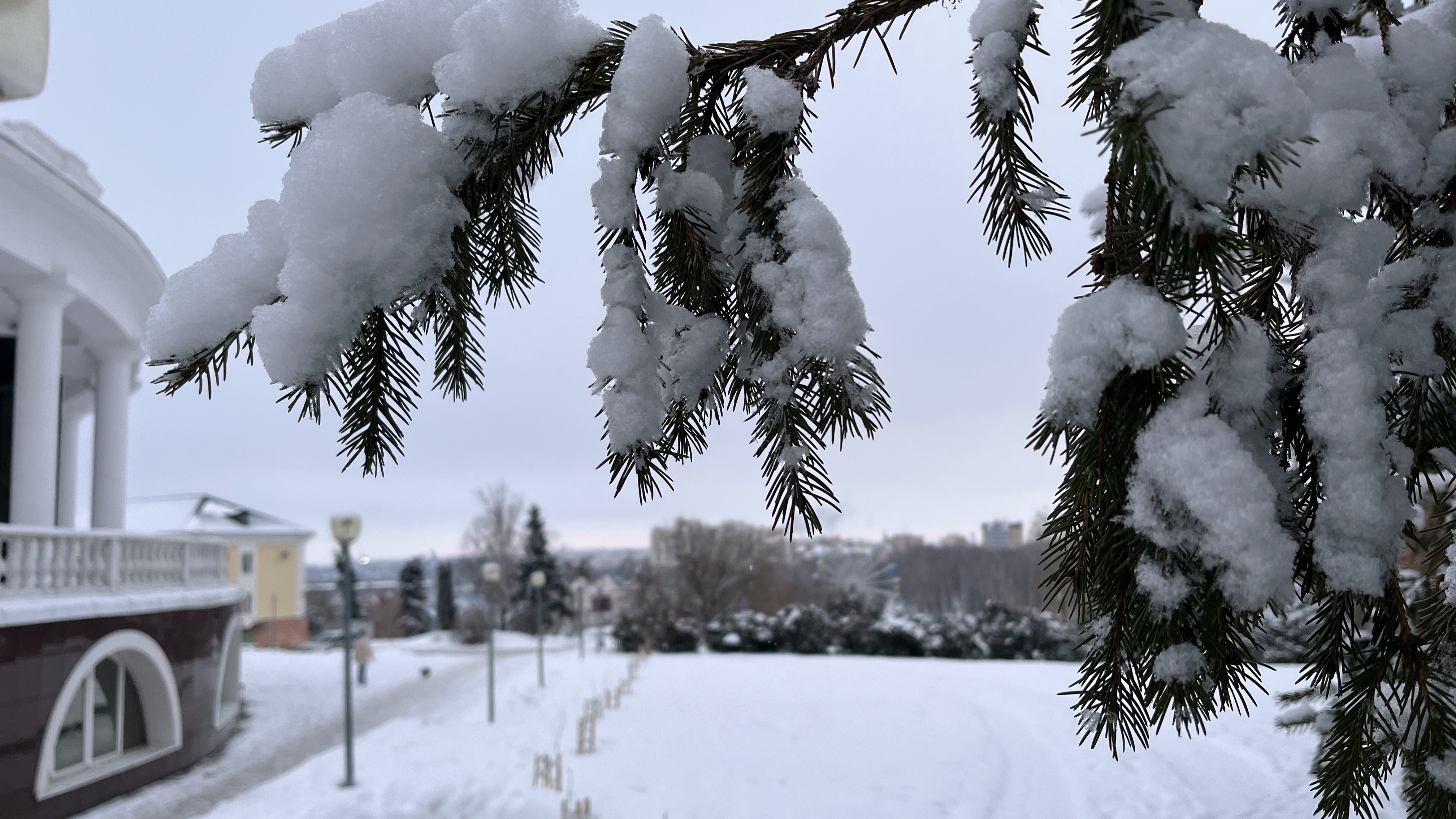 Синоптики рассказали, когда из Мордовии отступят морозы