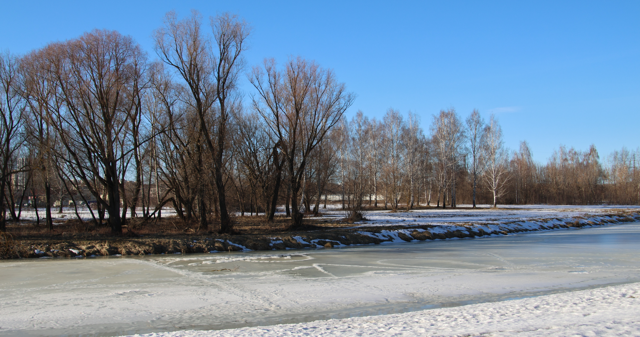 Весна принесла в регионы России аномальное потепление 